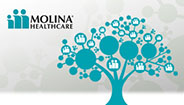 Árbol de Molina Árbol de Molina